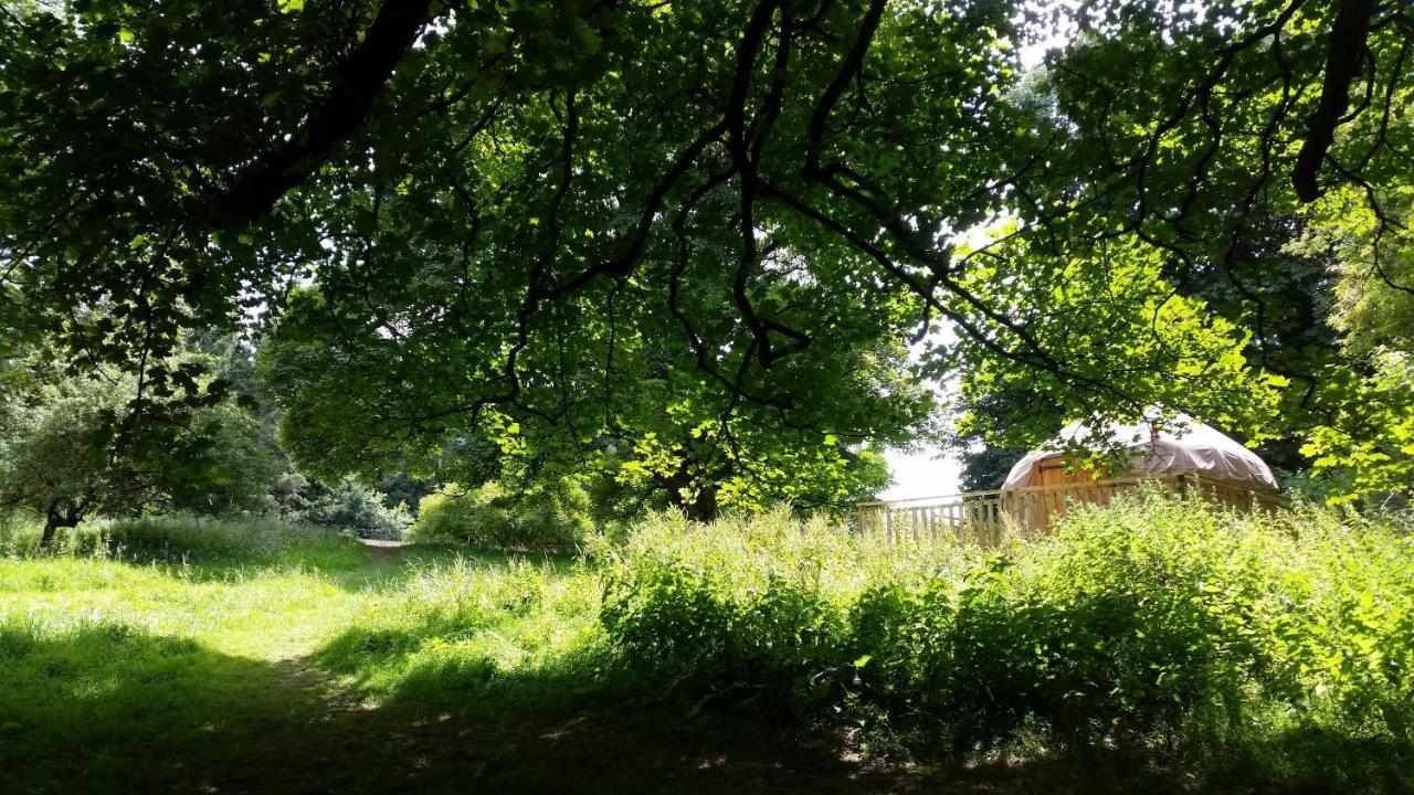 Hotel Rock Farm Slane - Glamping Zewnętrze zdjęcie
